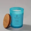 8.8oz Medium Mind And Body Nourish And Renew - Chesapeake Bay Candle -Home Improvement Store GUEST 0759716f 85c6 49f7 ac03 ee3677d7d5bc