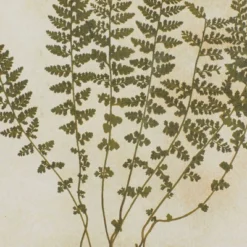 Farmhouse Wood Leaf Framed Wall Art With Brown Frame Set Of 2 Light Brown - Olivia & May -Home Improvement Store GUEST 0a6dbe9e 850a 4700 84c5 c8b7deee9f84