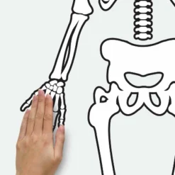 Skeleton Glow In The Dark Peel And Stick Giant Wall Decal White/Black - RoomMates 9 Skeleton Glow In The Dark Peel And Stick Giant Wall Decal White/Black - RoomMates -Home Improvement Store GUEST 24866b24 0d0d 42cf 8ddc ebacee053eb2