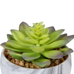 Northlight 4" Green And Purple Artificial Succulent In Faux Marble Pot 8 Northlight 4" Green And Purple Artificial Succulent In Faux Marble Pot -Home Improvement Store GUEST 4820c60a 3b83 45a4 9615 b791302cd47a