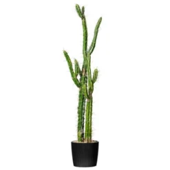Vickerman Artificial Toothpick Cactus -Home Improvement Store GUEST 4e37a96a b931 4c49 a8b1 52a883f97ea2