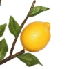 Vickerman 20" Artificial Green And Yellow Lemon Spray. -Home Improvement Store GUEST 5dc9f782 91c6 451c b877 9581d12a19c2