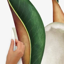 4.5" X 4.375" Vintage Magnolia Peel And Stick Giant Wall Decal - RoomMates -Home Improvement Store GUEST 626a54e4 921b 4964 b981 4d4619a6114c