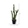 Vickerman Artificial Toothpick Cactus 1 Vickerman Artificial Toothpick Cactus -Home Improvement Store GUEST 634df1ea 19ab 426c 8938 dee493d1b31d