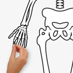 Skeleton Glow In The Dark Peel And Stick Giant Wall Decal White/Black - RoomMates 8 Skeleton Glow In The Dark Peel And Stick Giant Wall Decal White/Black - RoomMates -Home Improvement Store GUEST 7d544213 da7e 41d0 a0ec e179f14a9f62