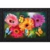 Garden Gerber Daisies Spring Doormat Indoor Outdoor 30" X 18" Briarwood Lane -Home Improvement Store GUEST 7ff6f96f 66ea 4b0c be79 bd47a1c5f5a9