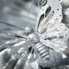 15.5"H Sullivans Laser Cut Metal Butterfly, Gray -Home Improvement Store GUEST 8a5745d7 c5f2 4017 82ef 65c68e579319