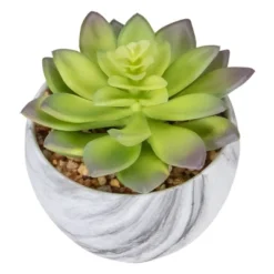 Northlight 4" Green And Purple Artificial Succulent In Faux Marble Pot 9 Northlight 4" Green And Purple Artificial Succulent In Faux Marble Pot -Home Improvement Store GUEST c75b46e4 c305 4207 93b3 df37b12fcbd2