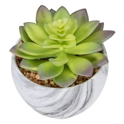 Northlight 4" Green And Purple Artificial Succulent In Faux Marble Pot 6 Northlight 4" Green And Purple Artificial Succulent In Faux Marble Pot - Image 4