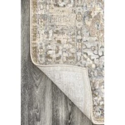 NuLOOM Vintage Medallion Thea Area Rug -Home Improvement Store GUEST cbe006a7 ad01 4ce6 9994 22dda228fb21