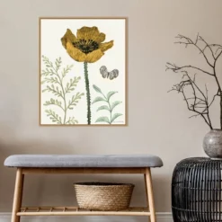 22" X 28" Springtime II Warm By Sara Zieve Miller Framed Canvas Wall Art Light Brown - Amanti Art -Home Improvement Store GUEST ce1792bb 575e 4d17 b02b 69615edf7390