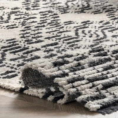 NuLOOM Celia Soft Shag Abstract Aztec Fringe Area Rug 5 NuLOOM Celia Soft Shag Abstract Aztec Fringe Area Rug - Image 3