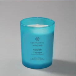8.8oz Medium Mind And Body Nourish And Renew - Chesapeake Bay Candle -Home Improvement Store GUEST df90401a ca66 442a 8c22 c44a58d3635d