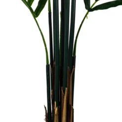 Vickerman Artificial Potted Kentia Palm -Home Improvement Store GUEST e9075d73 aa06 45d0 acb7 af317bb9349a