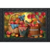 Briarwood Lane Harvest Apple Basket Fall Doormat Bluebirds Picnic Indoor Outdoor 30" X 18" -Home Improvement Store GUEST f3a64d79 bcc1 486e 846e 45bab89db098